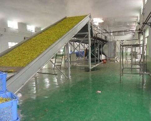 重慶91视频IOS下载